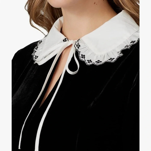 Sweet Baby Jamie
Black Collared Velvet Dress size small - Picture 5 of 14